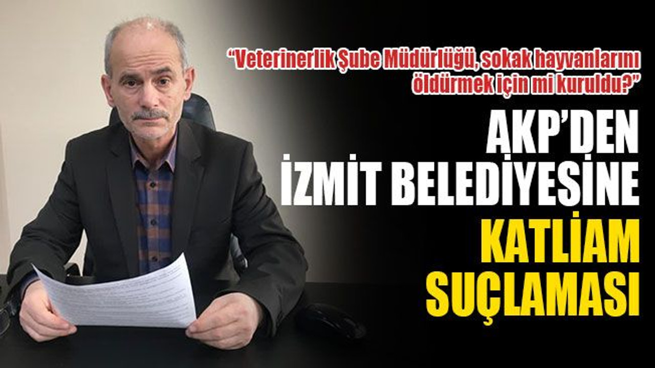 AKP, köpek katliamında İzmit Belediyesi’ni suçladı