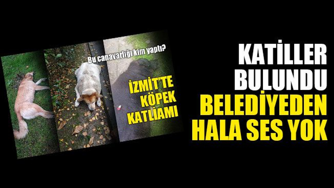 Katiller bulundu, belediyeden hala ses yok