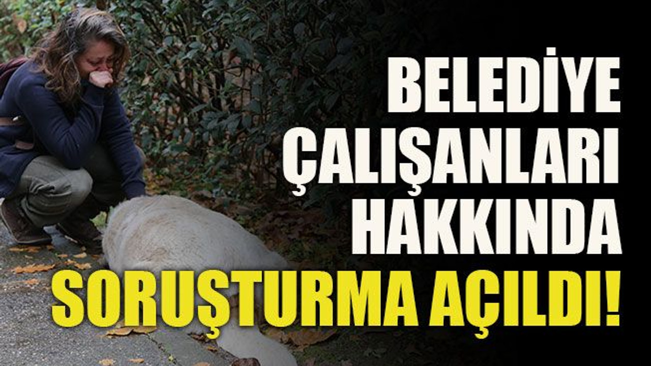 Belediye çalışanları hakkında soruşturma açıldı!