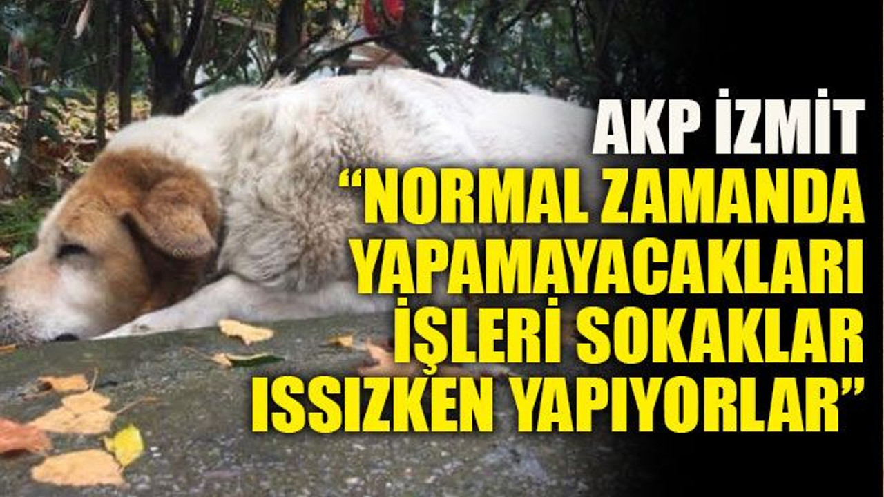 AKP İzmit: “Normal zamanda yapamayacakları işleri sokaklar ıssızken yapıyorlar”