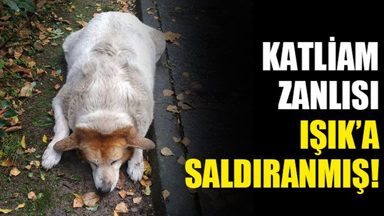 Katliam zanlısı, Işık’a saldıranmış!