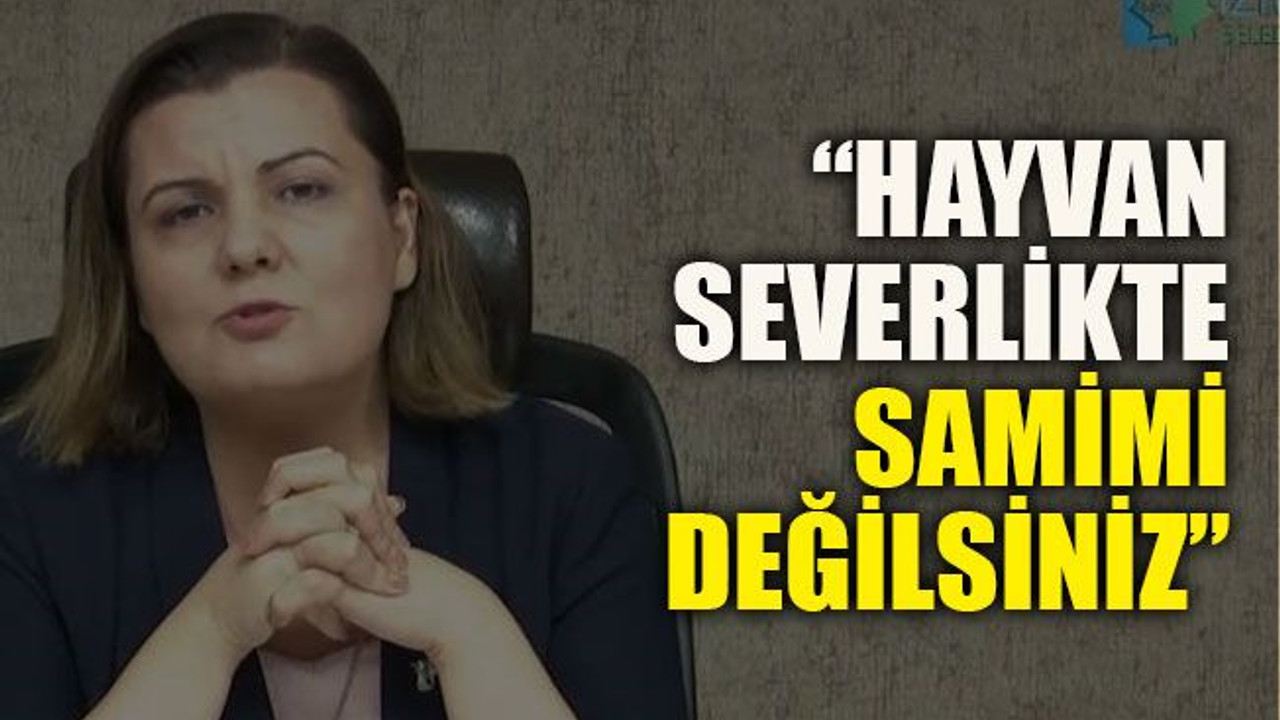 Hürriyet: “Hayvan severlikte samimi değilsiniz”