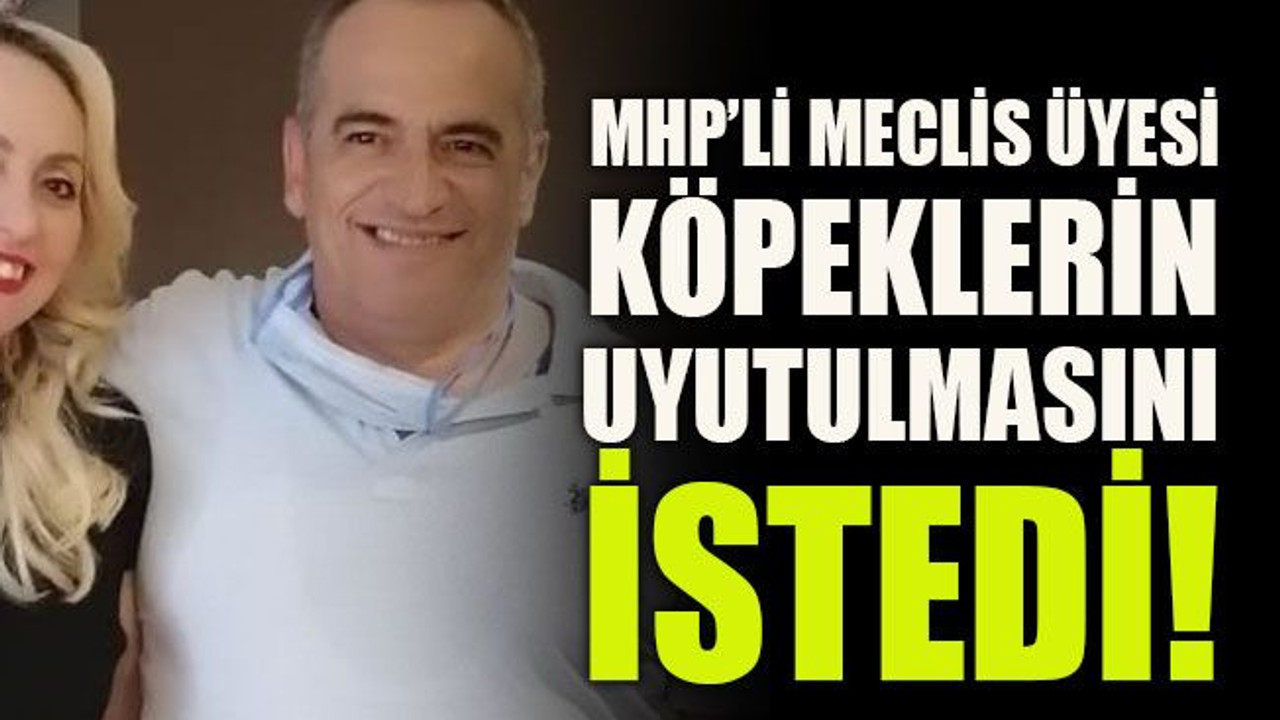 MHP’li Meclis Üyesi köpeklerin uyutulmasını istedi!