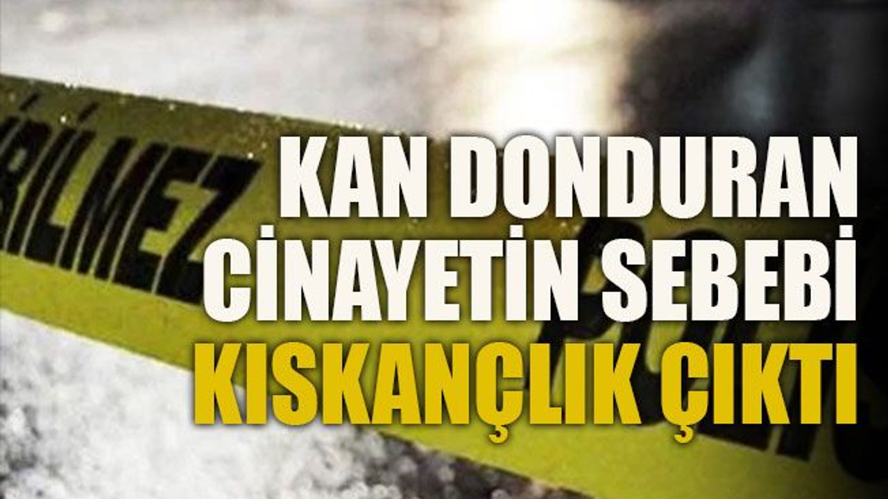 Kan donduran cinayetin sebebi kıskançlık çıktı