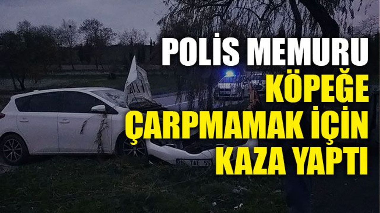 Polis memuru köpeğe çarpmamak için kaza yaptı