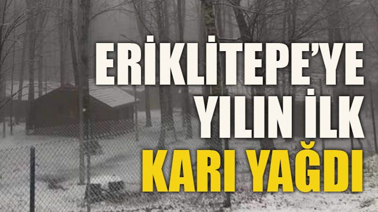Eriklitepe’ye yılın ilk karı yağdı