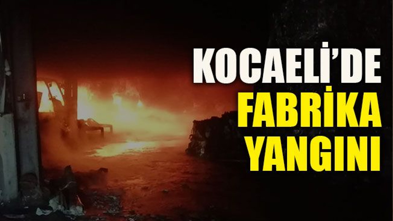 Kocaeli’de fabrika yangını