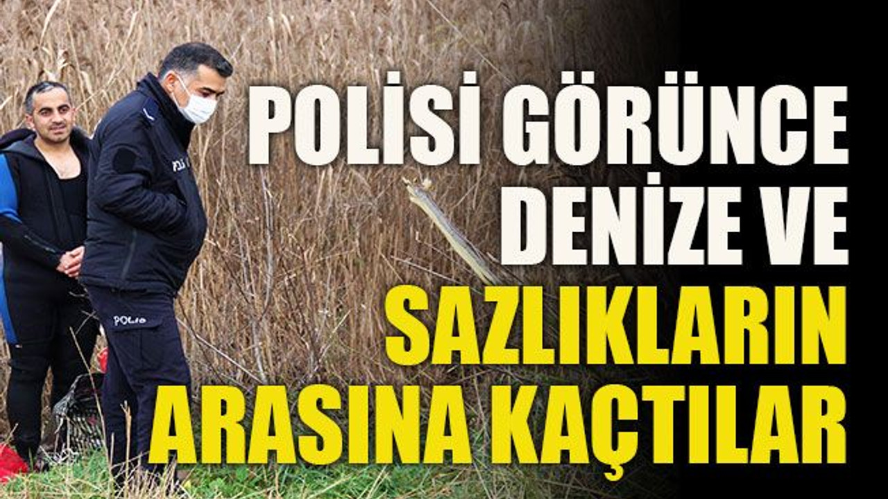 Polisi görünce denize ve sazlıkların arasına kaçtılar