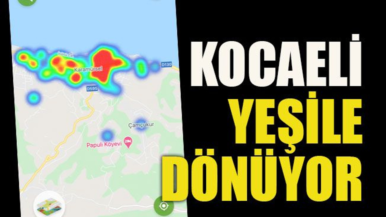 Kocaeli yeşile dönüyor