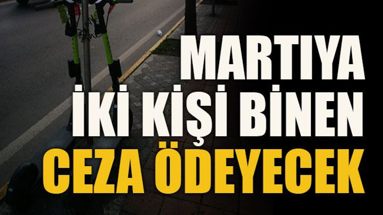 Martıya iki kişi binen ceza ödeyecek