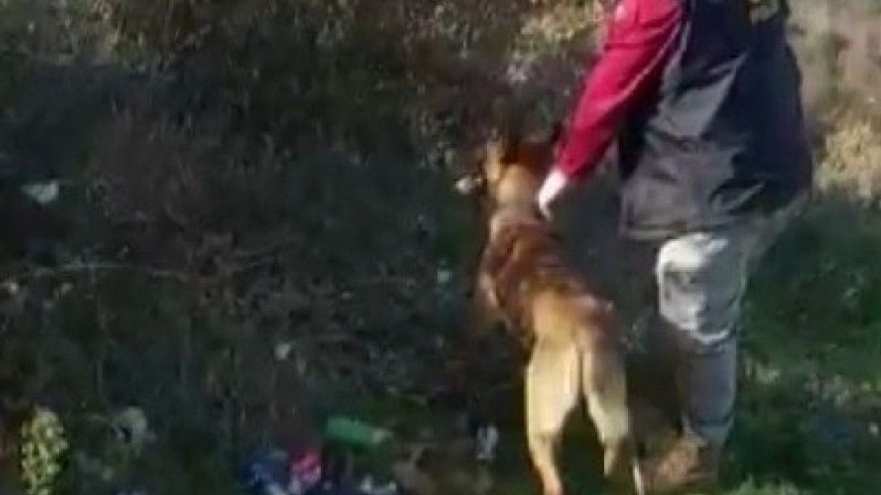 Uyuşturucuyu ormana saklamışlar!