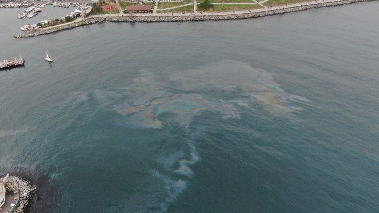 Marmara Denizi’nde ürküten görüntü