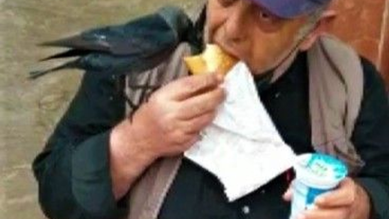Karga vatandaşın döner ayranına ortak oldu