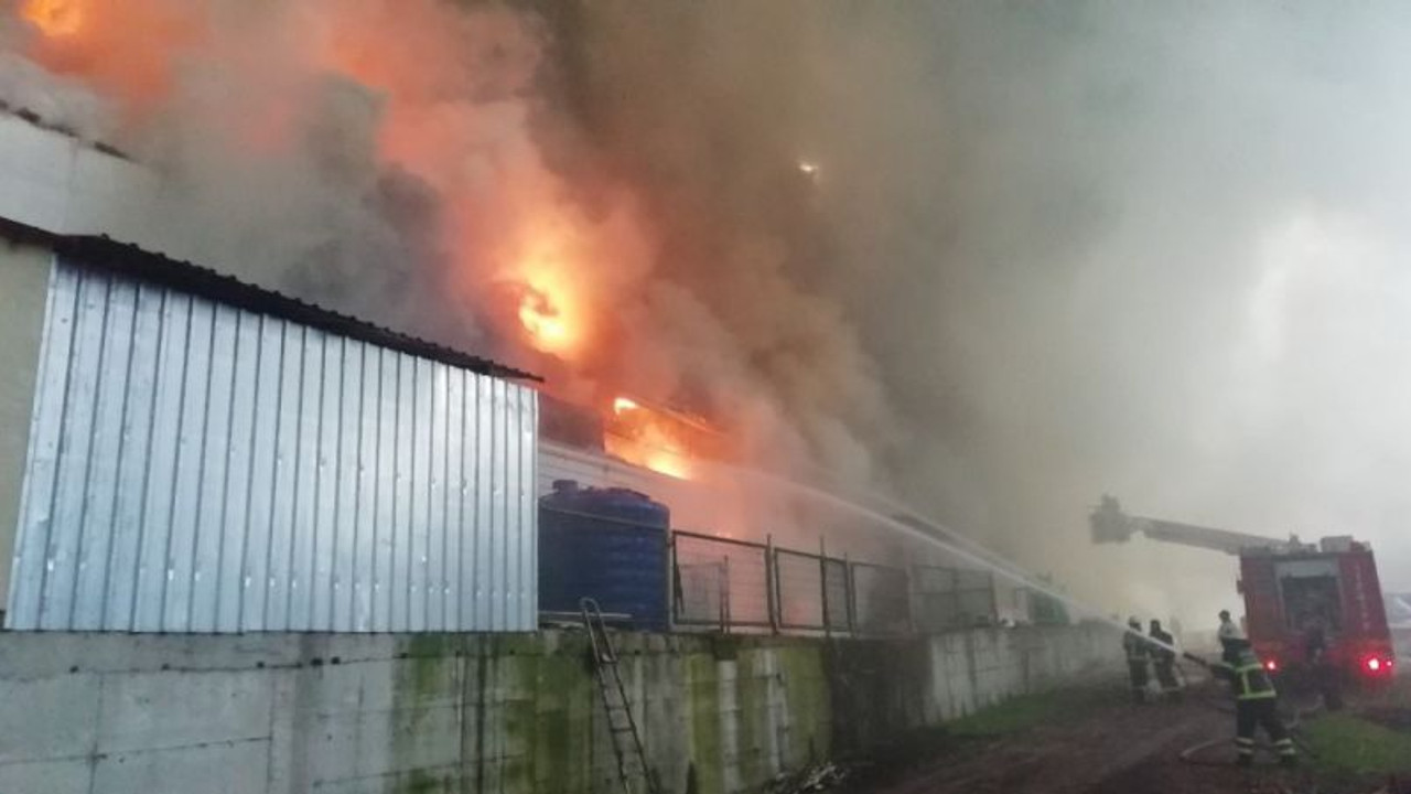 Tavuk çiftliği alev alev yandı