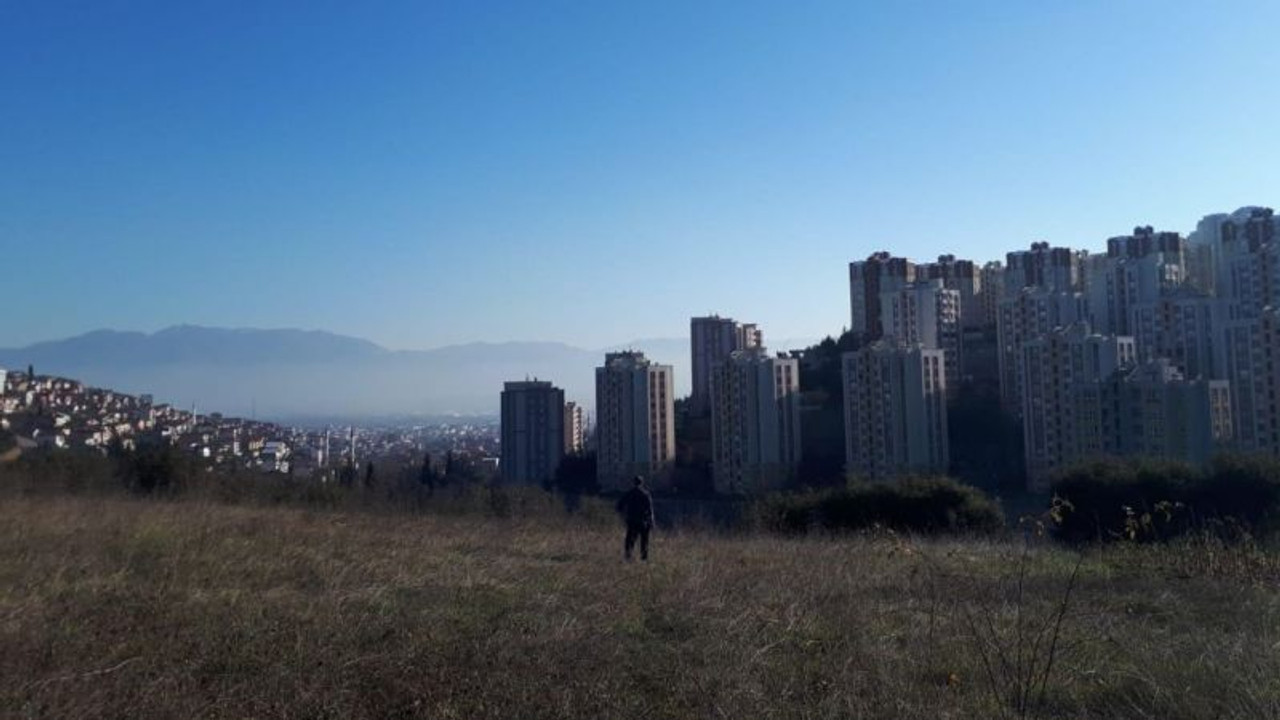 Bitmeyen hastane için ağaçlar katledilecek!