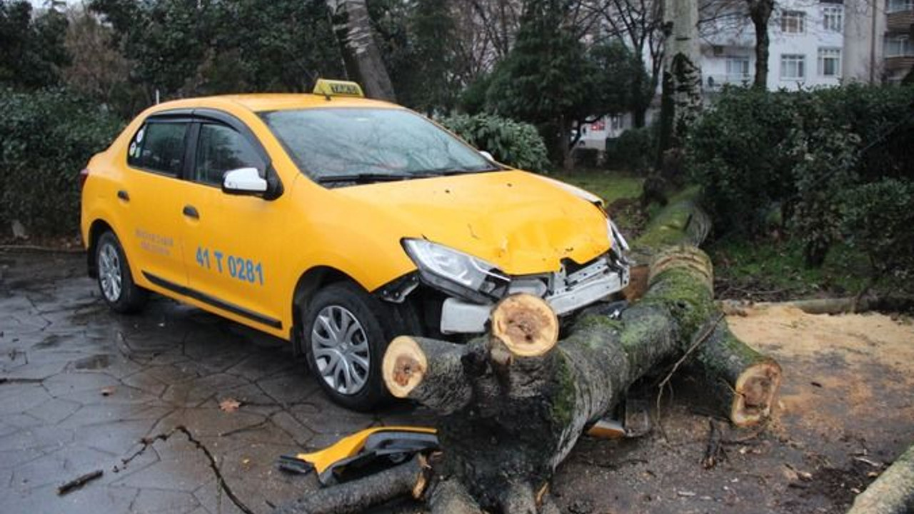 Fırtınanın devirdiği ağaç park halindeki taksileri parçaladı