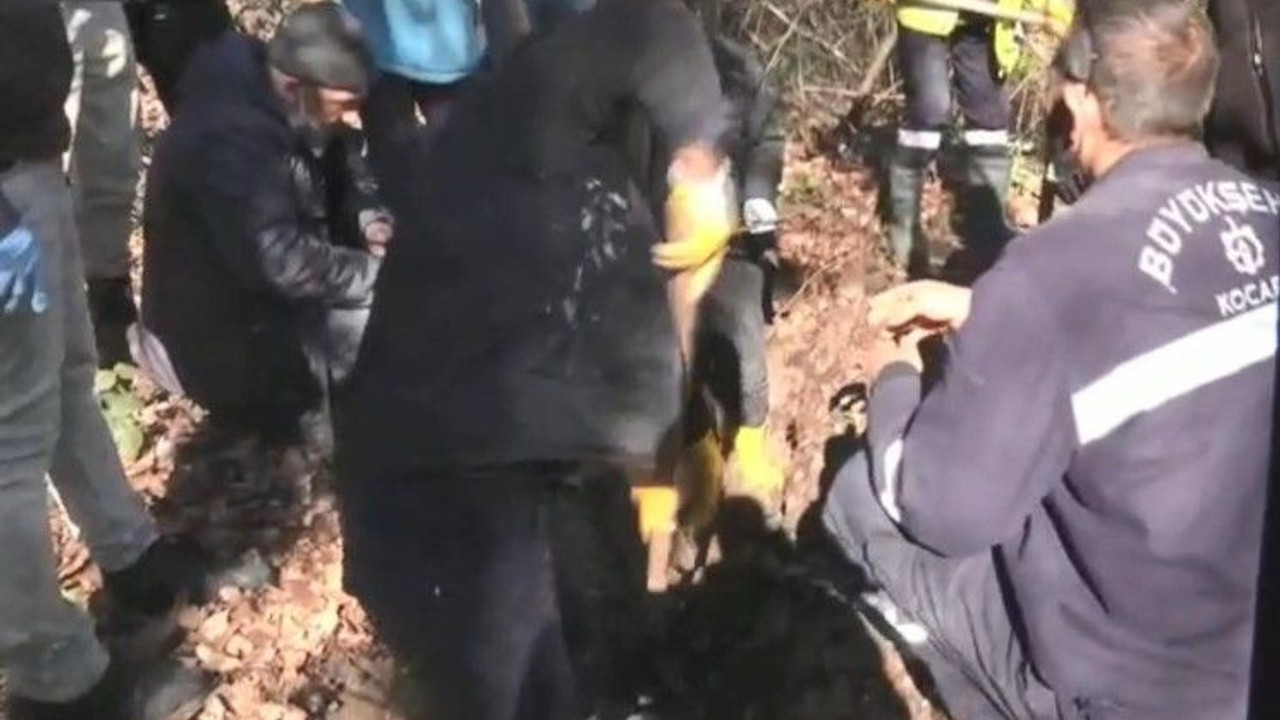 Cinayete kurban giden arkadaşların cesetleri arandı