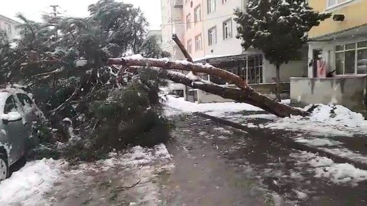 Araçların üzerine devrildi!