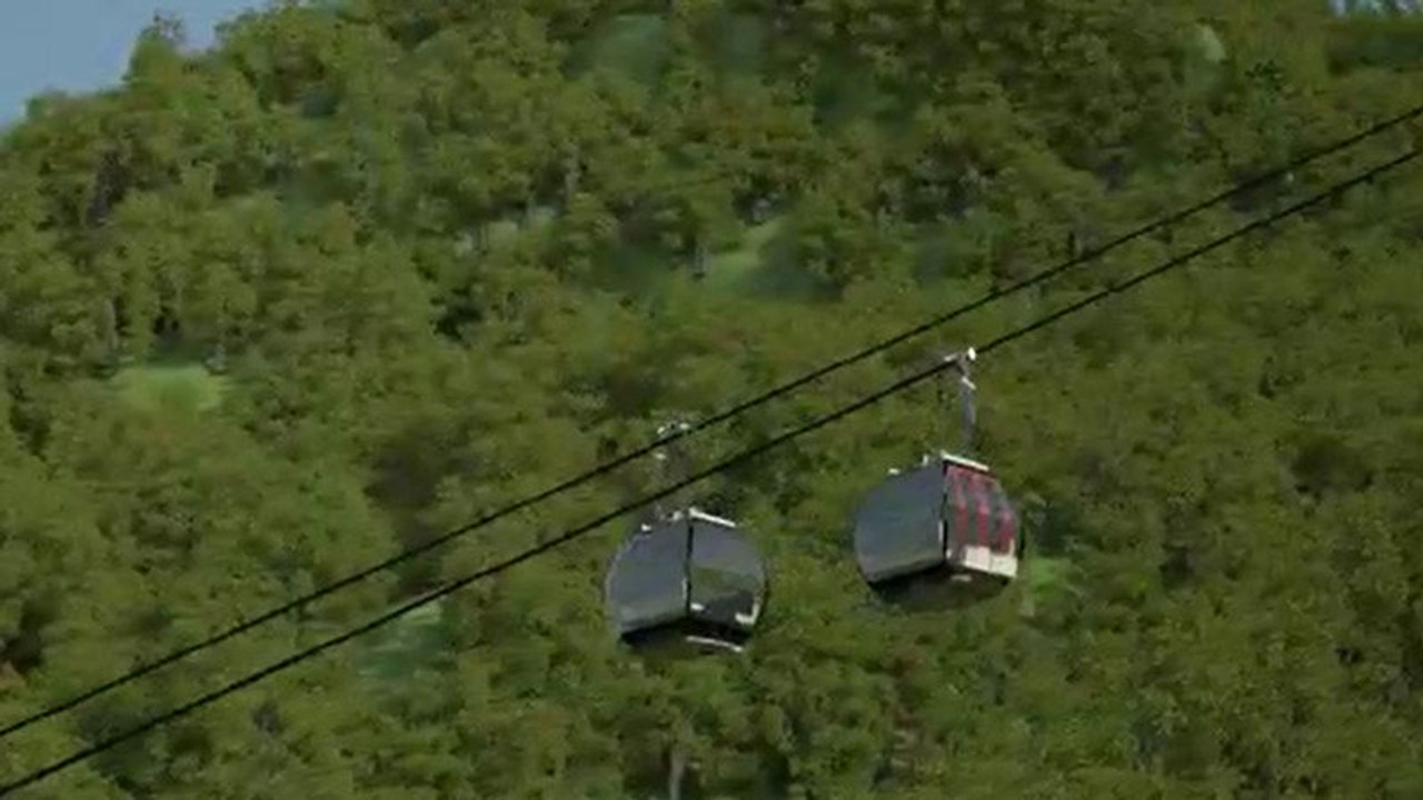 Bu vaatlerden hangisi yapıldı?