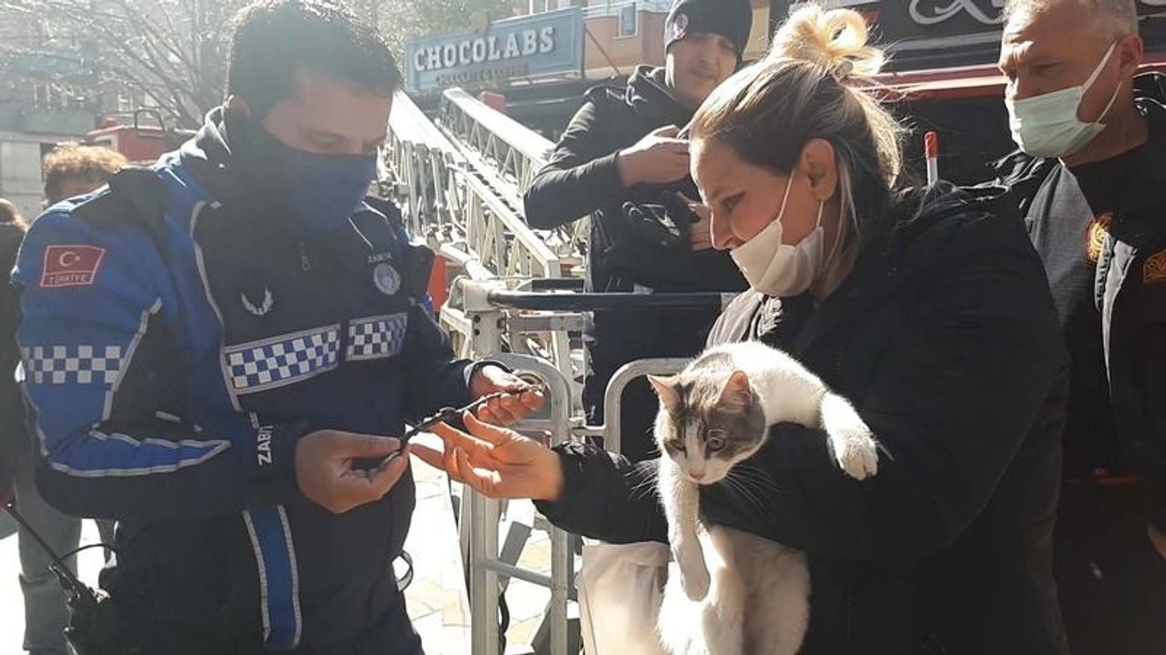 Köpekten korkup çıktığı ağaçtan itfaiye indirdi