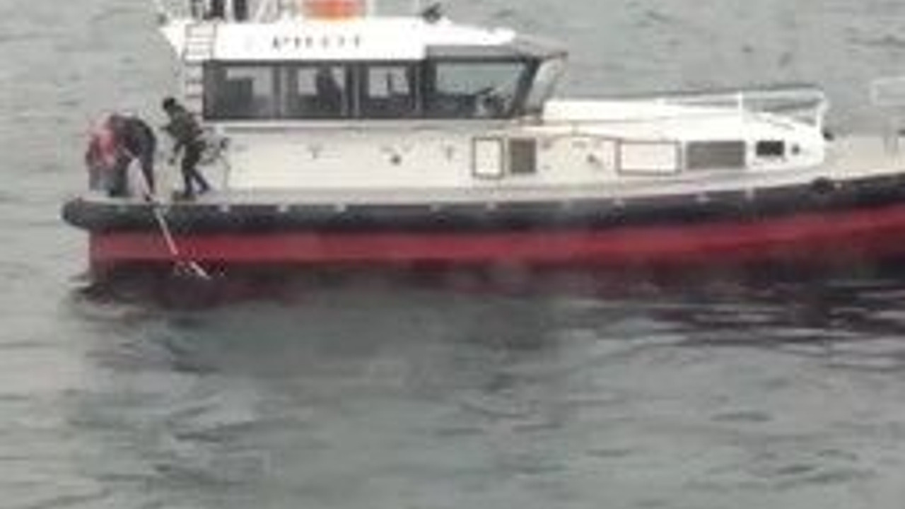 Feribot ile giderken denize düştü!