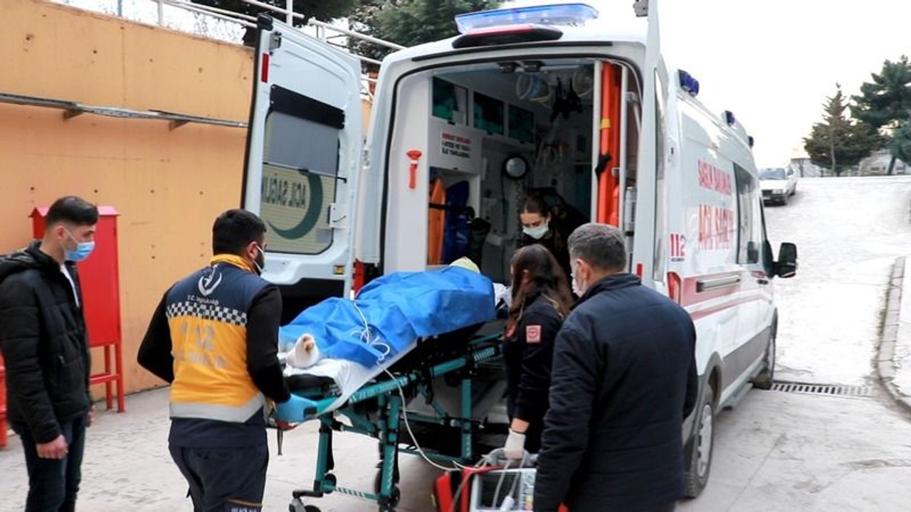 Kozalak toplarken yüksek gerilime kapıldı