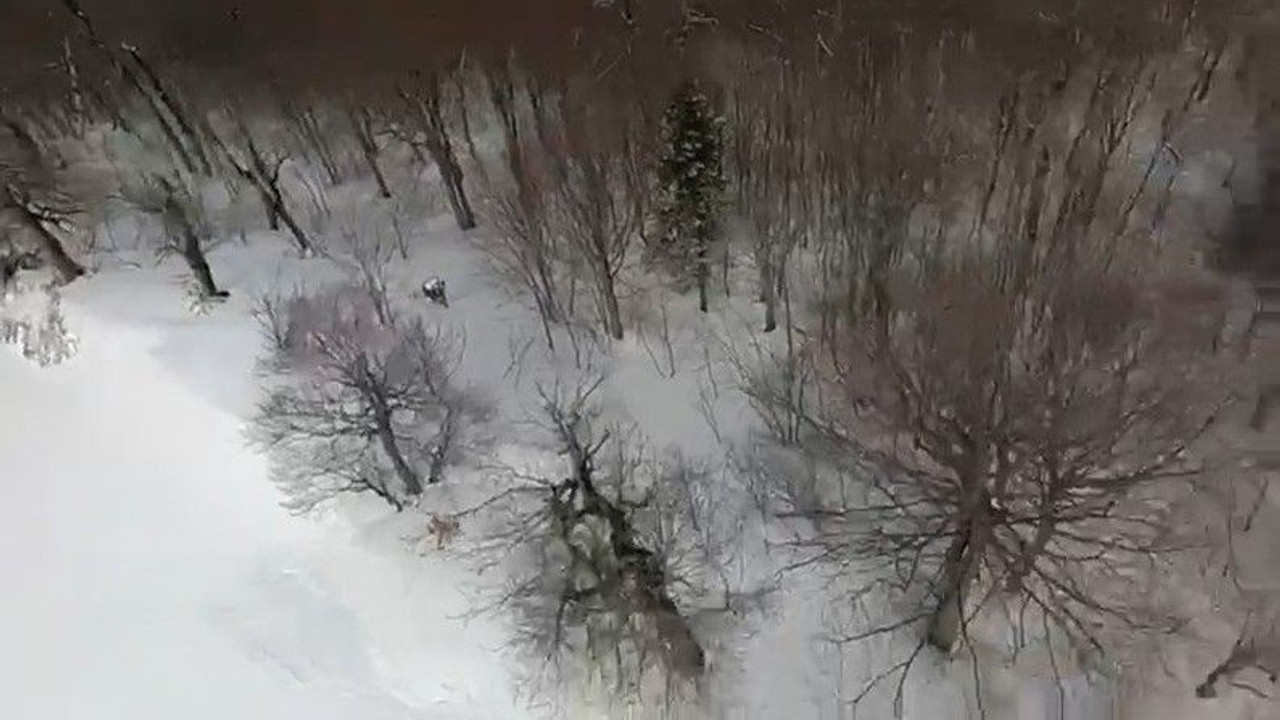 Yamaç paraşütü yaparken düştü!