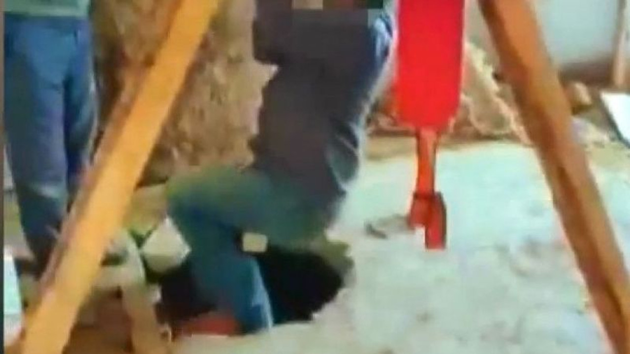 Kocaeli'de ormana kulübe inşa edip, define aramışlar!