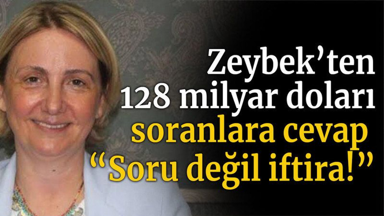 Zeybek’ten 128 Milyar Doları soranlara cevap “Soru değil iftira!”