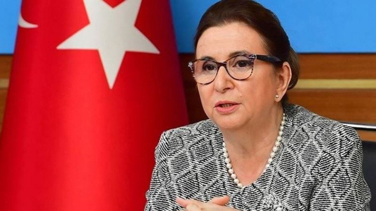 Görevden alınan Ruhsar Pekcan'dan ilk açıklama