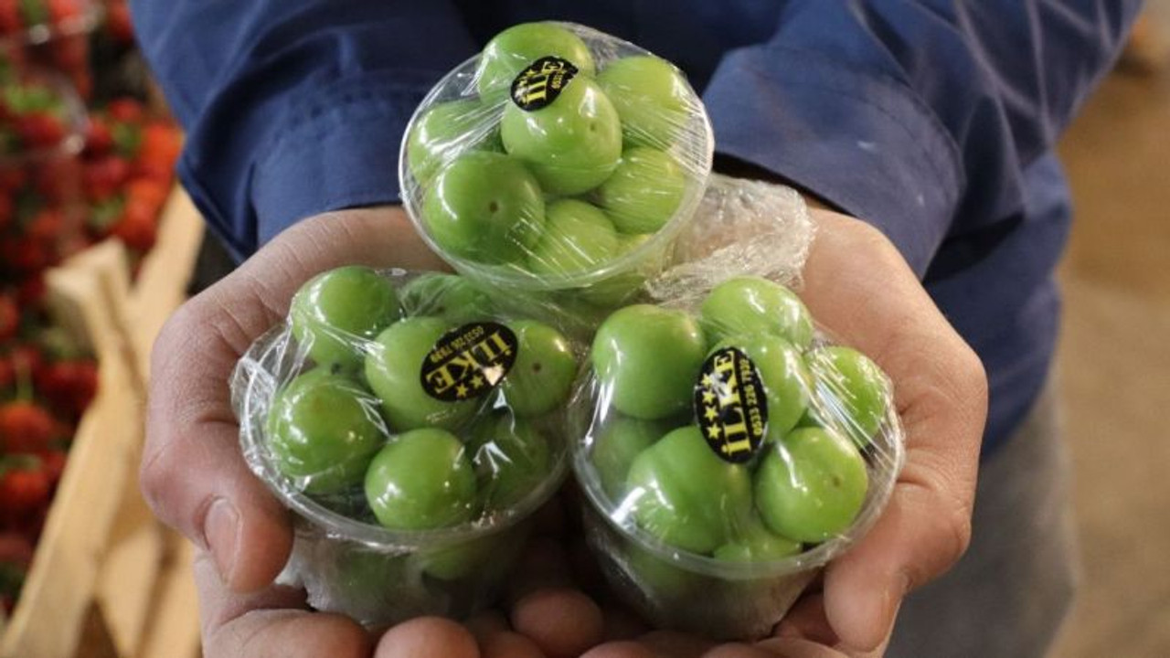 Pazarda eriğin kilosu bakın kaç liraya düştü