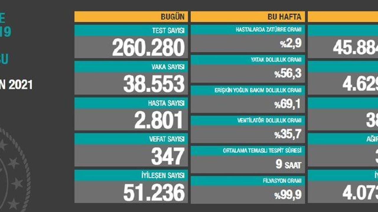 24 saatte 347 kişi hayatını kaybetti!