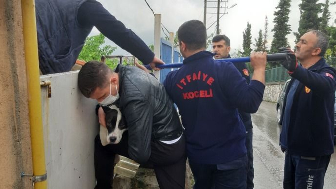 Şimşekten kaçarken parmaklıklara sıkıştı!