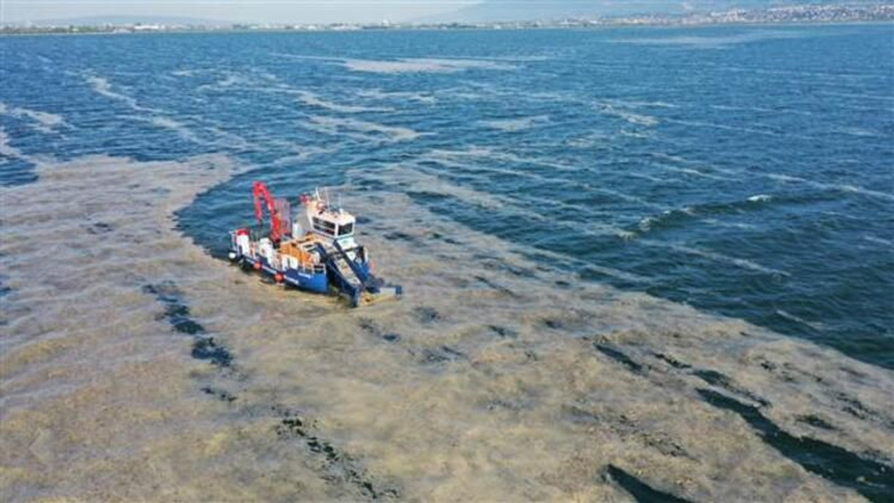 Deniz salyası meclis gündeminde