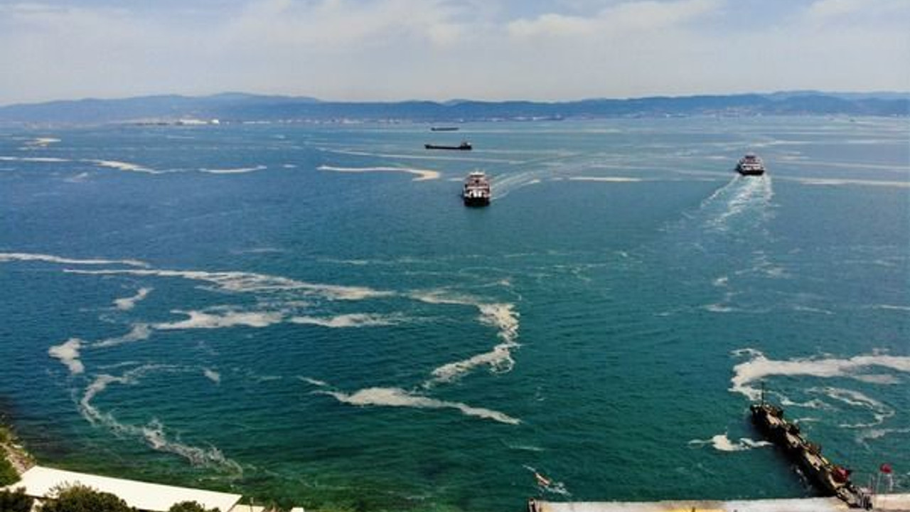 Marmara denizini salyadan kurtarabilmek için bir araya geldiler