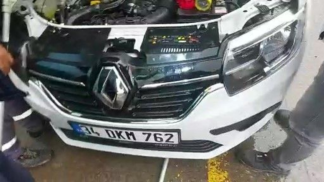 Otomobilin içinden kurtardıkları kediyi sahiplendiler