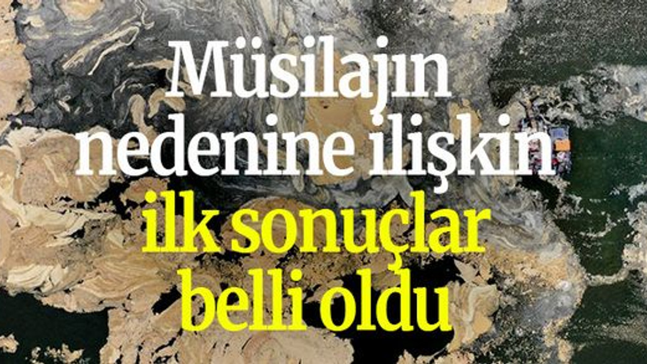 Müsilajın nedenine ilişkin ilk sonuçlar belli oldu
