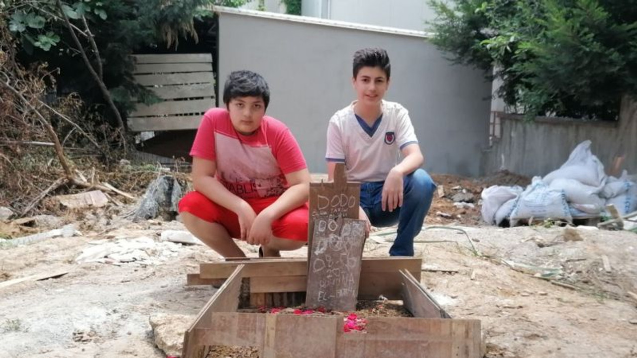 Harçlıklarıyla besledikleri köpeğe elleriyle mezar yaptılar