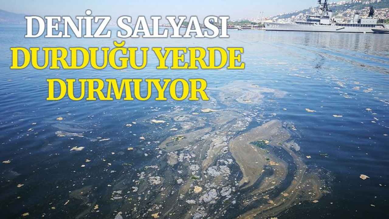 Deniz salyası, durduğu yerde durmuyor!