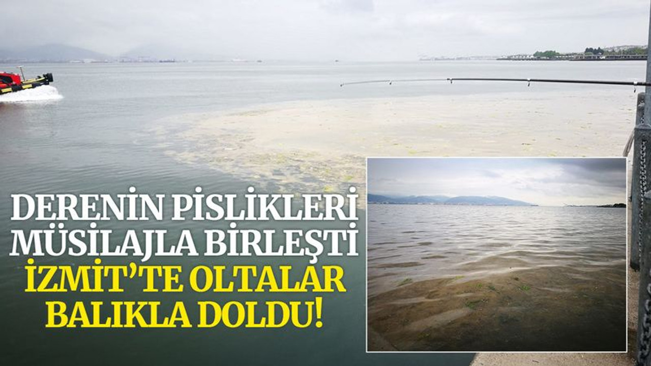 Derenin pislikleri müsilajla birleşti, İzmit’te oltalar balıkla doldu!