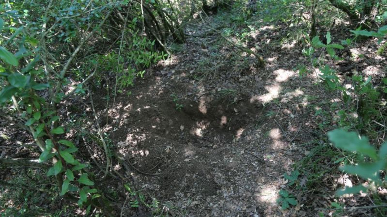 Cinayet zanlısıyla birlikte cesedi gömen baba ve oğlu da tutuklandı