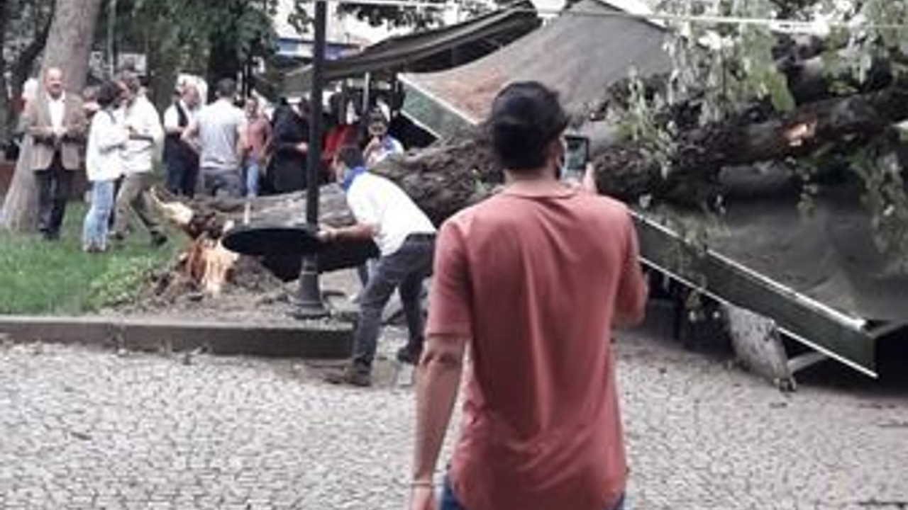 Fırtına Yeni Cuma’da ağaç devirdi!