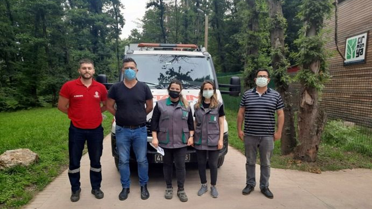 Koruma altına alındılar