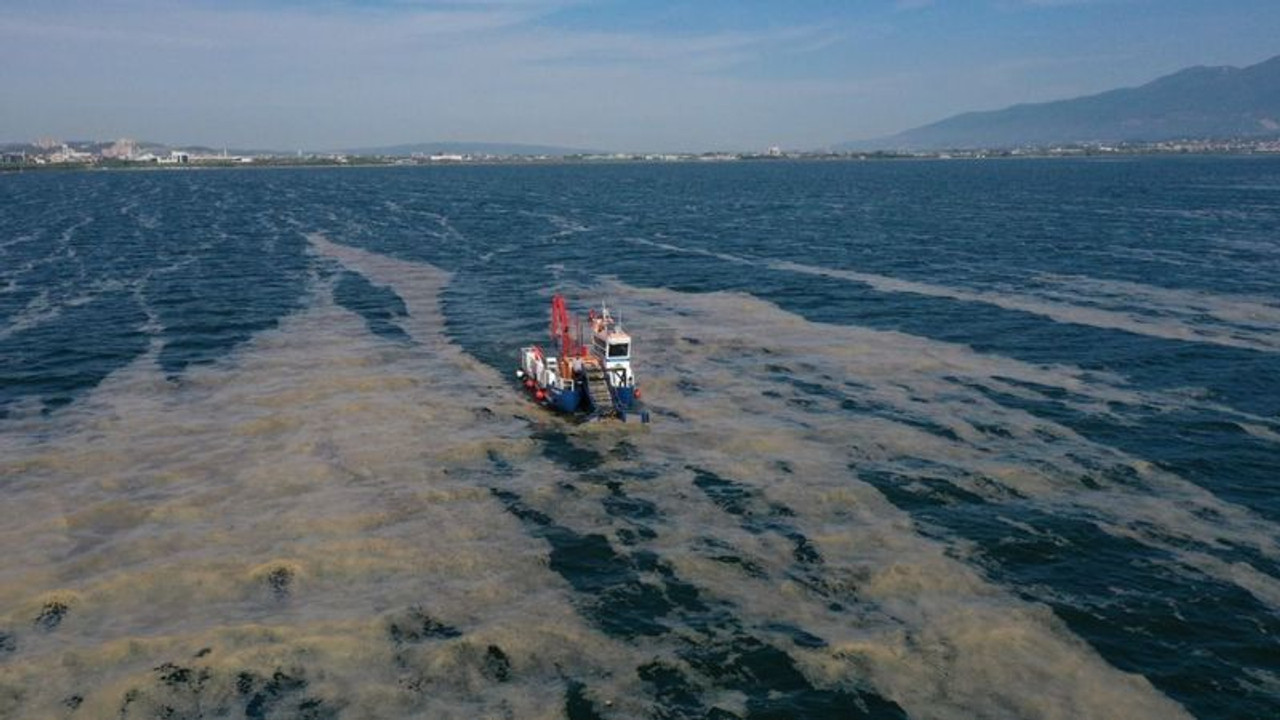 Kocaeli’den ne kadar müsilaj toplandı?