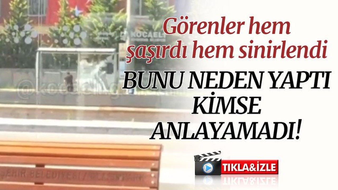 Görenler hem şaşırdı hem sinirlendi! Neden yaptığını kimse anlayamadı!