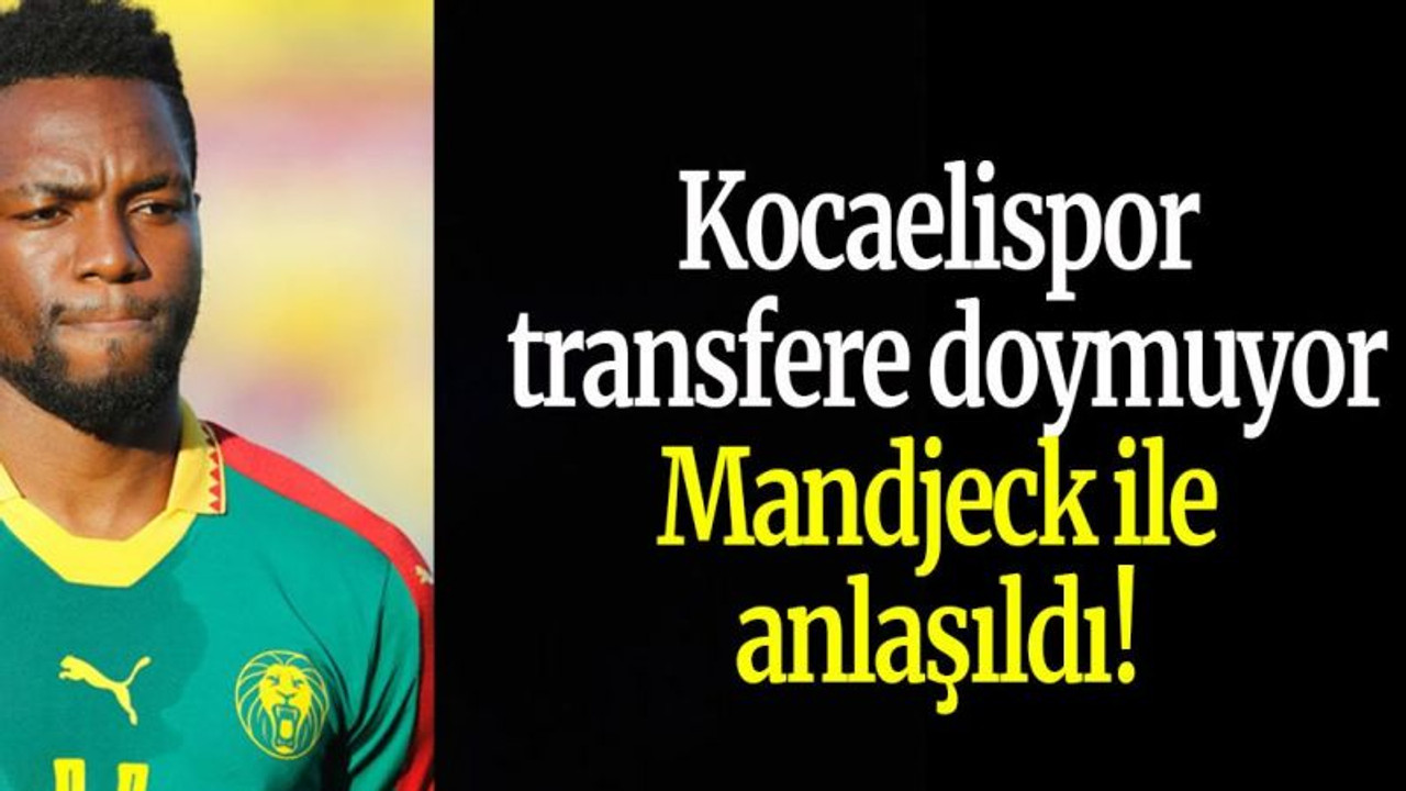 Kocaelispor transfere doymuyor Mandjeck ile anlaşıldı!