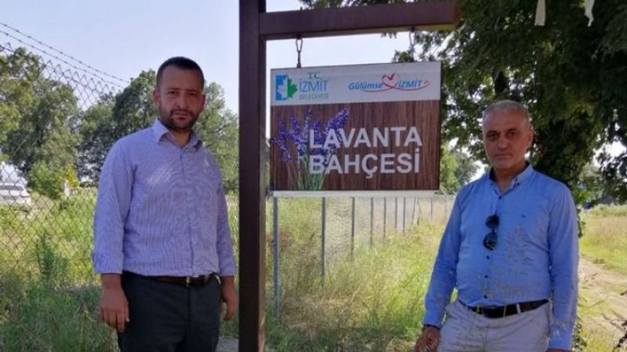 İzmit Belediyesi’nin lavantaları kurudu