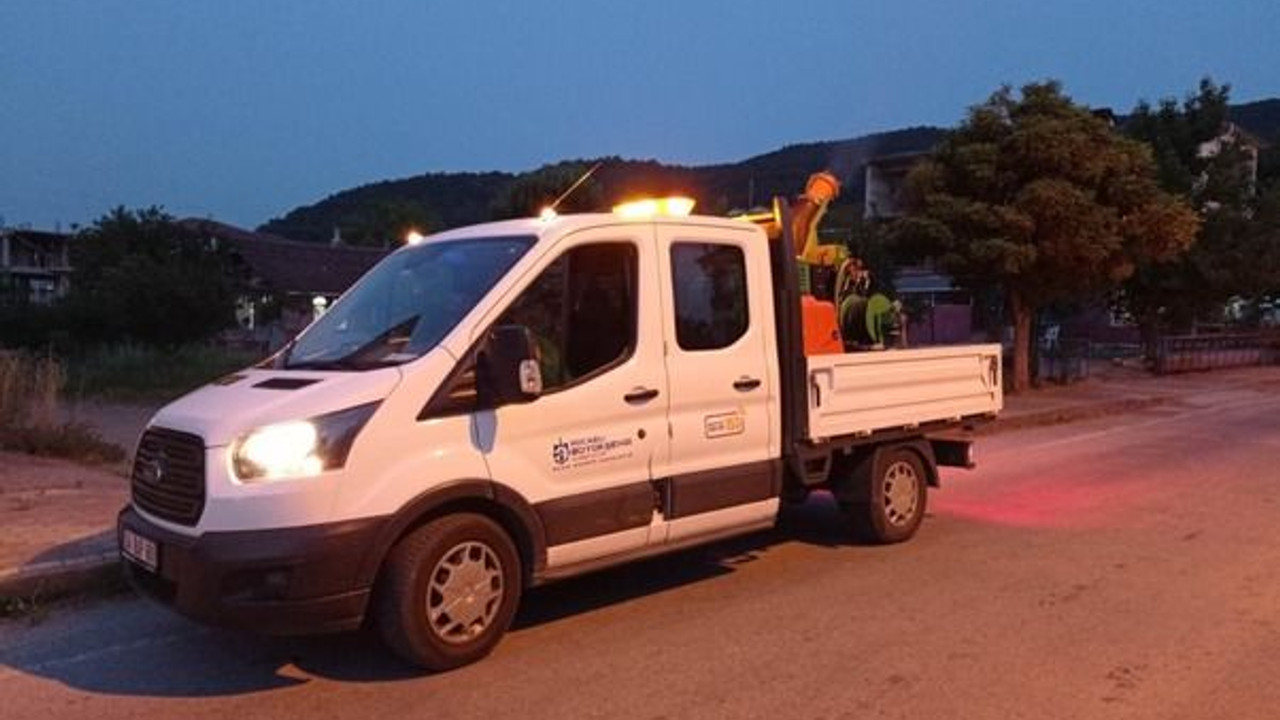 Sivrisinekle kapsamlı mücadele