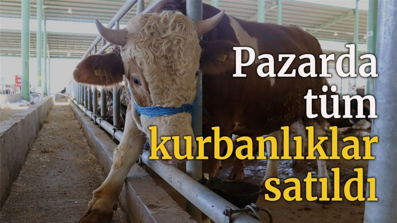 Pazarda tüm kurbanlıklar satıldı