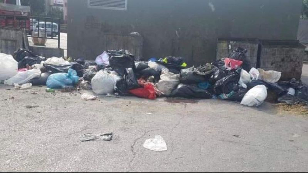 Tüm uyarılara rağmen kurban atıkları yine sokaklardan toplandı
